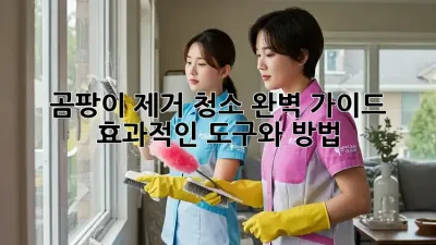 곰팡이 제거 청소 완벽 가이드: 효과적인 도구와 방법