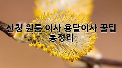 산청 원룸 이사? 용달이사 꿀팁 총정리!