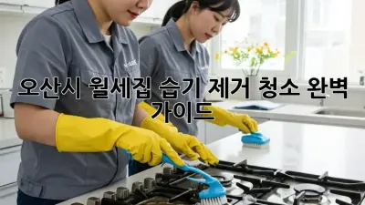 오산시 월세집 습기 제거 청소 완벽 가이드